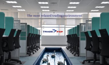 Mastering Forex Trading: A Comprehensive Guide to TradeFxP