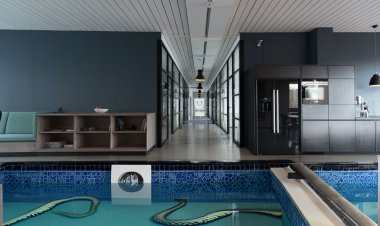 TradeFxP: Escaping the Forex Forest: A Survival Guide for Traders