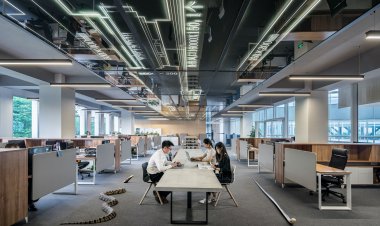 Forex Trading vs. Stock Trading: What are the differences and pros and cons?