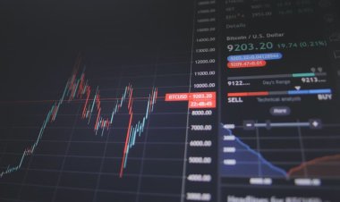 Financial Instruments: Key Players in Financial Markets