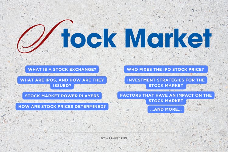 Understanding the Stock Market: A Comprehensive Investor's Guide