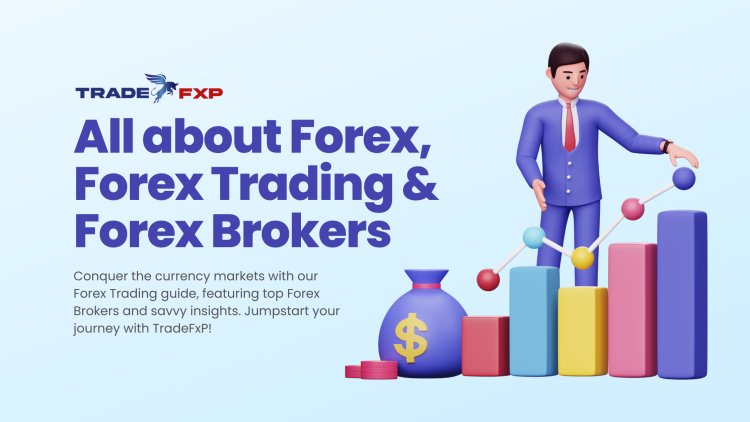 Forex Trading Guide with Top Forex Brokers | TradeFxP