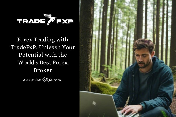 Forex Trading with TradeFxP: Unleash Your Potential with the World's Best Forex Broker