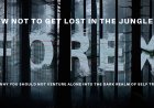 Why you should not self-trade forex: Do not venture into the dark realm of forex alone.