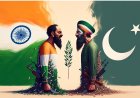 Anger Management: A Practitioner's Account of India-Pakistan Relations