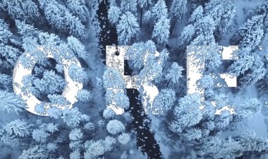 Forex : Know it, Own it, Trade It